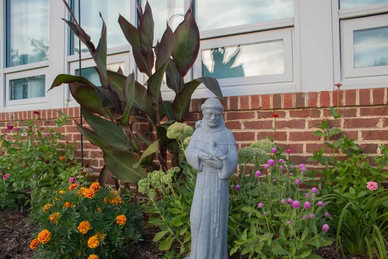 The garden at the front of the school