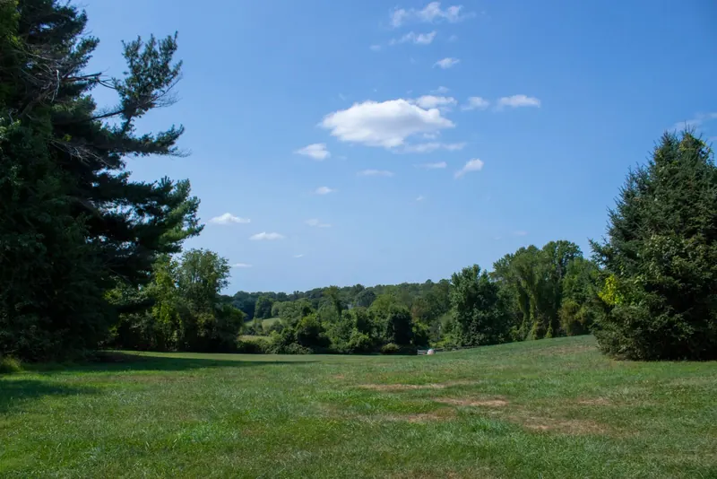 The open meadow behind the school