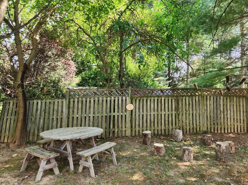 Aftercare & Summer at Forest Hill