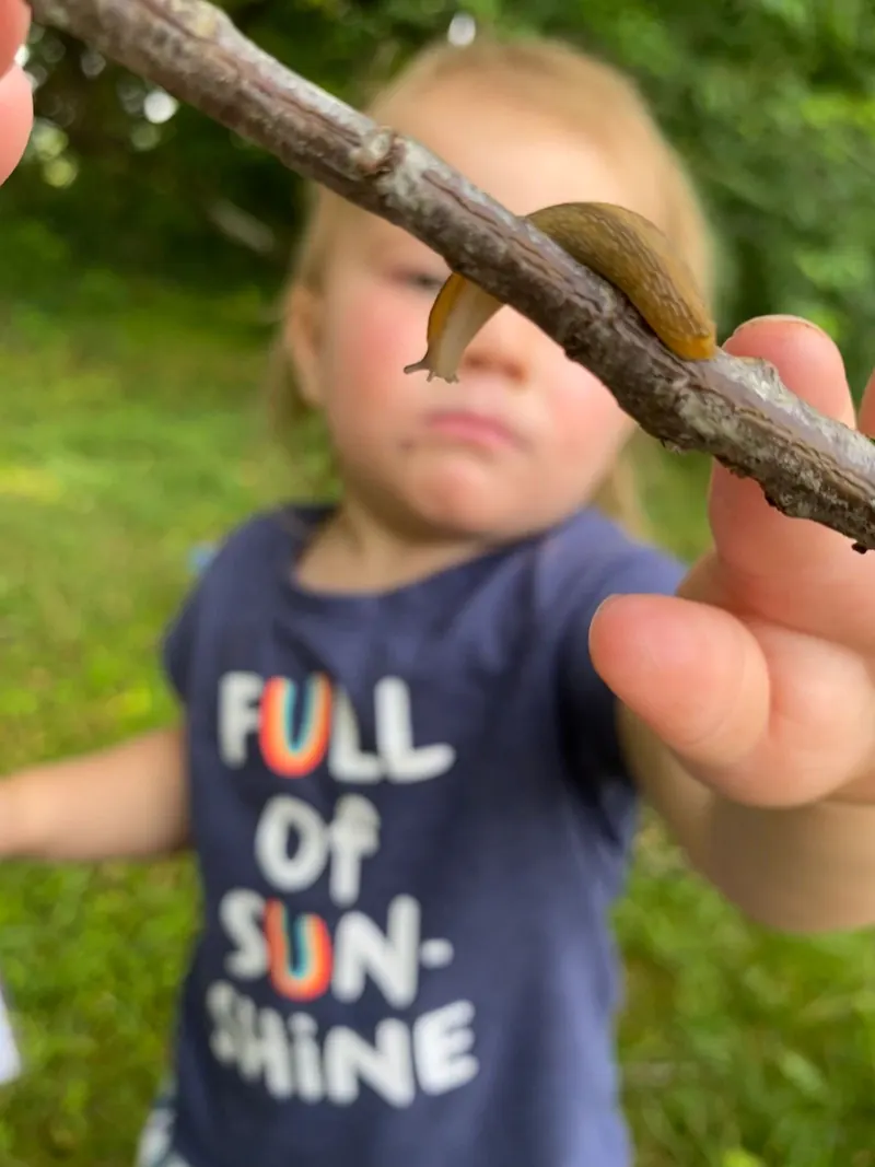 A toddler holding up a stick with a snail on it